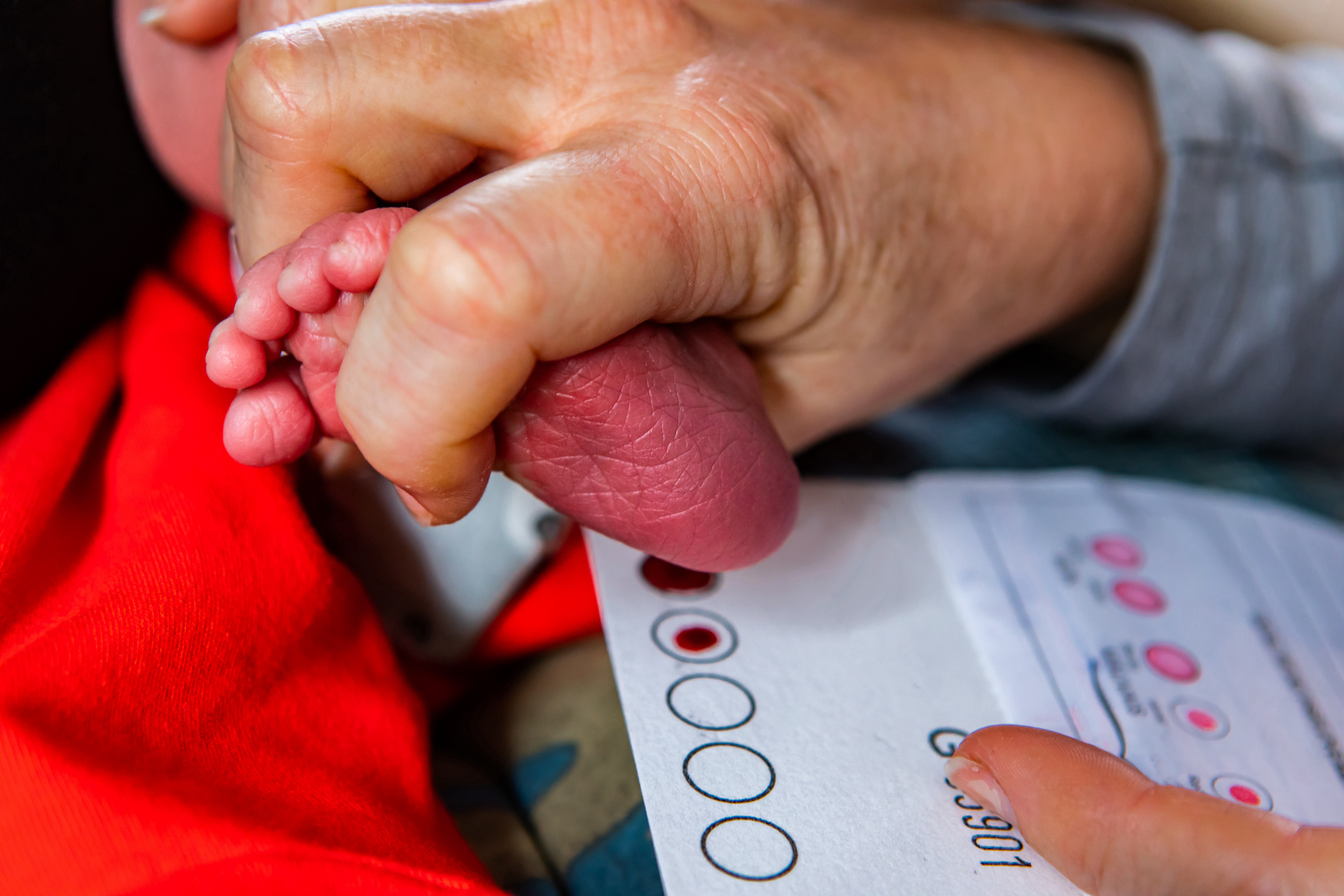 A drop of blood from a newborn heel prick
